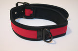 Neoprene Collar with D-Ring